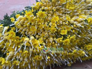  Lưới giúp hạn chế gập gãy hoặc xô lệch cánh hoa, giữ cho bông hoa luôn đẹp