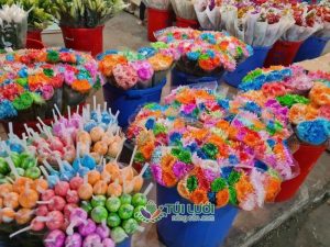  Lưới bọc hoa được nhiều nhà vườn sử dụng